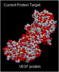 vegf_s.jpg (11049 �o�C�g)