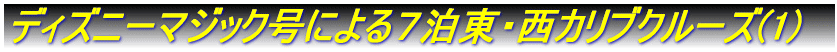 �f�B�Y�j�[�}�W�b�N���ɂ��V�����E���J���u�N���[�Y