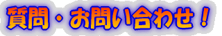 ����E���₢���킹�I