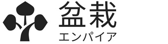 �~�̓G���p�C�A