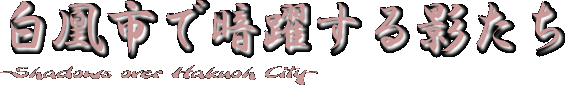 白凰市で暗躍する影たち