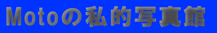 Moto̎ʐ^ ł