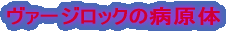 ヴァージロックの病原体