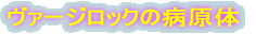 @[WbN̕a