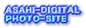 �A�T�q����ւ̃����N