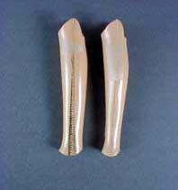 �K���v���̂悤�Ȓ����ł���