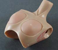 ���������������������ł���