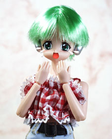 �ǂ�������ł�����