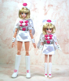 �o���_�C���r�[�i�����Ƃ̔�r�ł����B