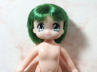 �ڂ�`���ł����B