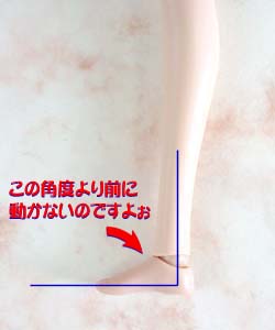 ����͖w�Ǔ����Ȃ��̂ł���`