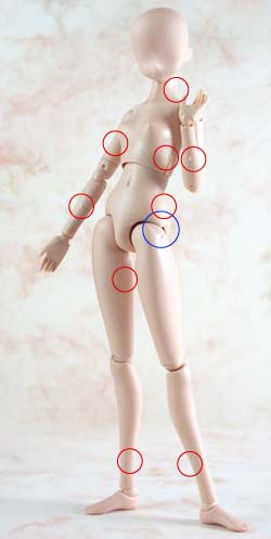 �ۈ�̉ӏ������X���Ŋ��炩�ɂ��܂���`