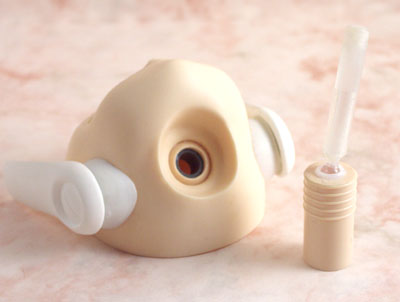 ��ɖ��ߍ��݂܂��`