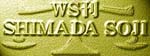 WS ci