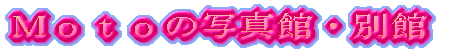 l̎ʐ^فEʊ 