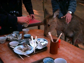 Antler