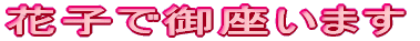 �Ԏq�Ō�����܂�
