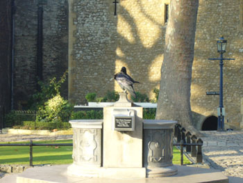 �����h�����A���J���X���܂��̂P�B