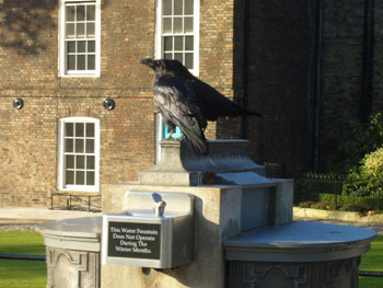 �����h�����A���J���X���܂��̂Q�B