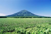 hokkaido01_0212.jpg - 7,701Bytes