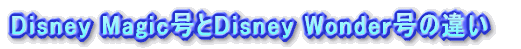 Disney MagicDisney Wonder̈Ⴂ
